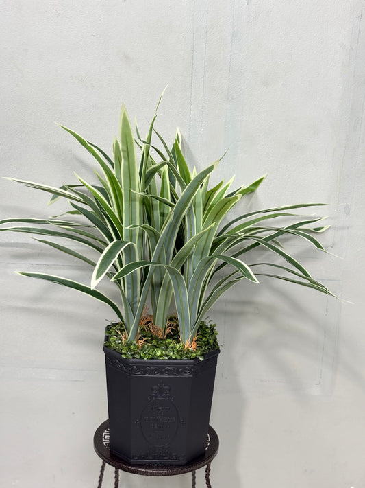 Long Spider Artificial Plant with Premium Planter – Perfect for Home & Office Decoration