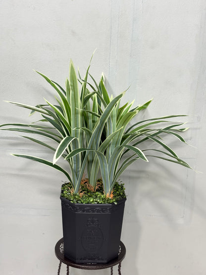 Long Spider Artificial Plant with Premium Planter – Perfect for Home & Office Decoration
