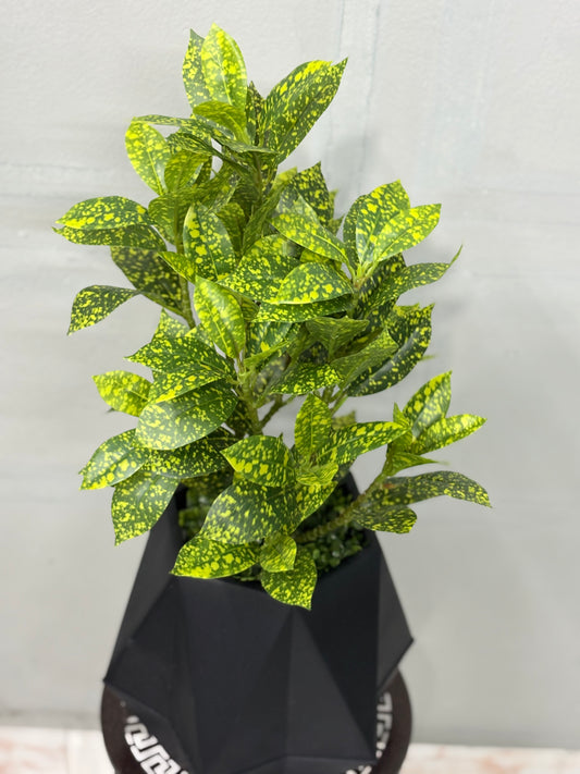 Tiny Artificial Plants for Table Decor ( Black tub )
