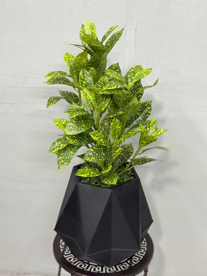 Tiny Artificial Plants for Table Decor ( Black tub )