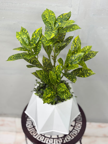 Tiny Artificial Plants for Table Decor ( white tub )