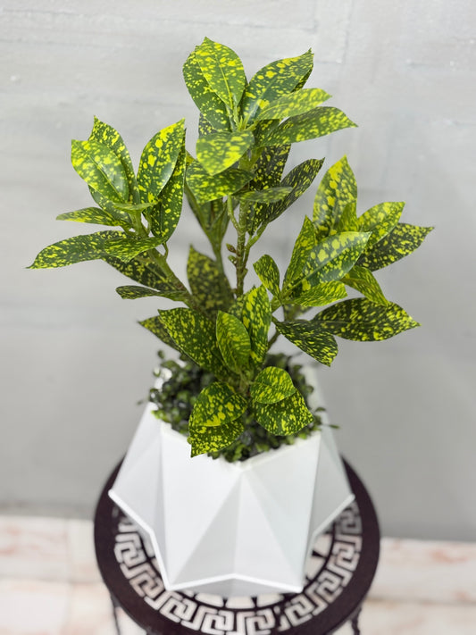 Tiny Artificial Plants for Table Decor ( white tub )