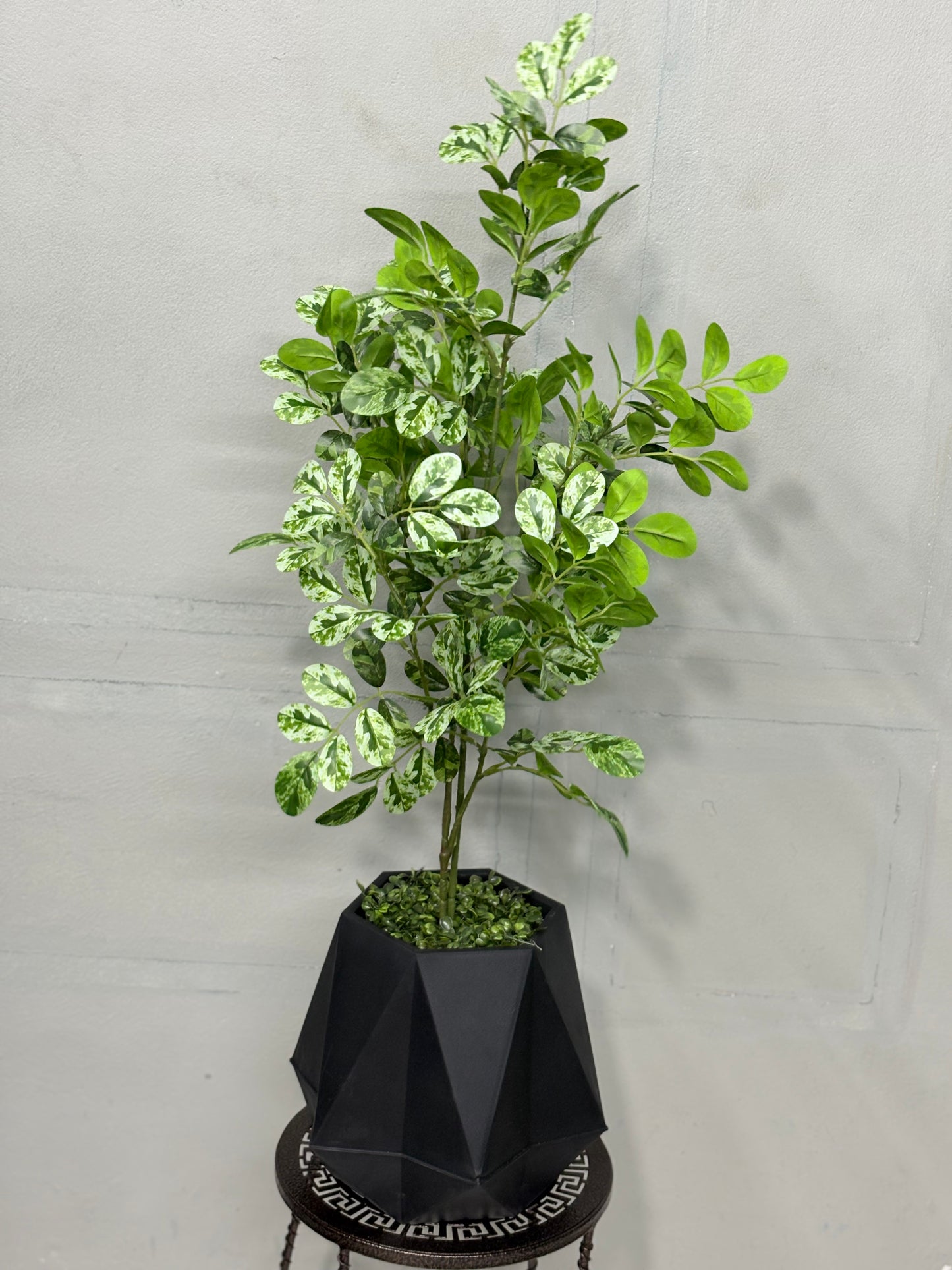 Premium Pata Barar Artificial Plant for Home & Office Decoration