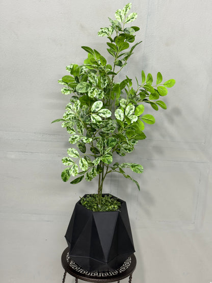 Premium Pata Barar Artificial Plant for Home & Office Decoration