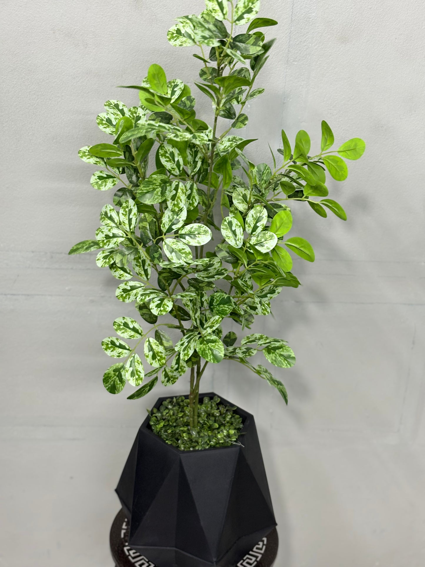 Premium Pata Barar Artificial Plant for Home & Office Decoration
