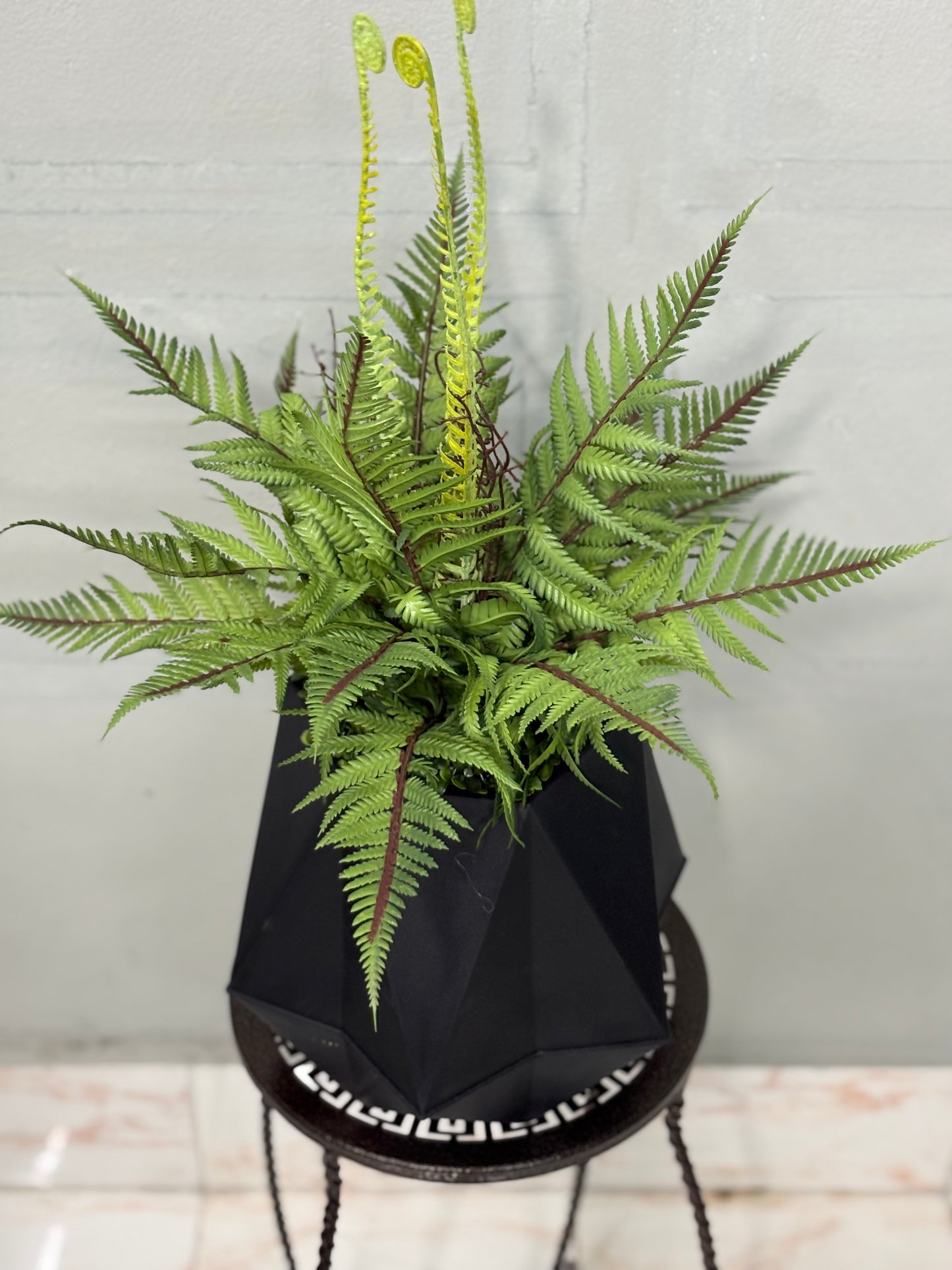 Table Fern Plant with Black Pot – Home & Office Decor