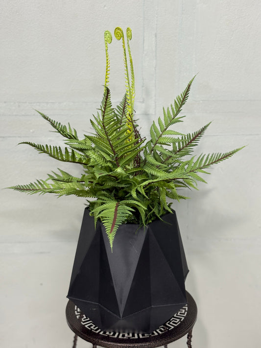 Table Fern Plant with Black Pot – Home & Office Decor