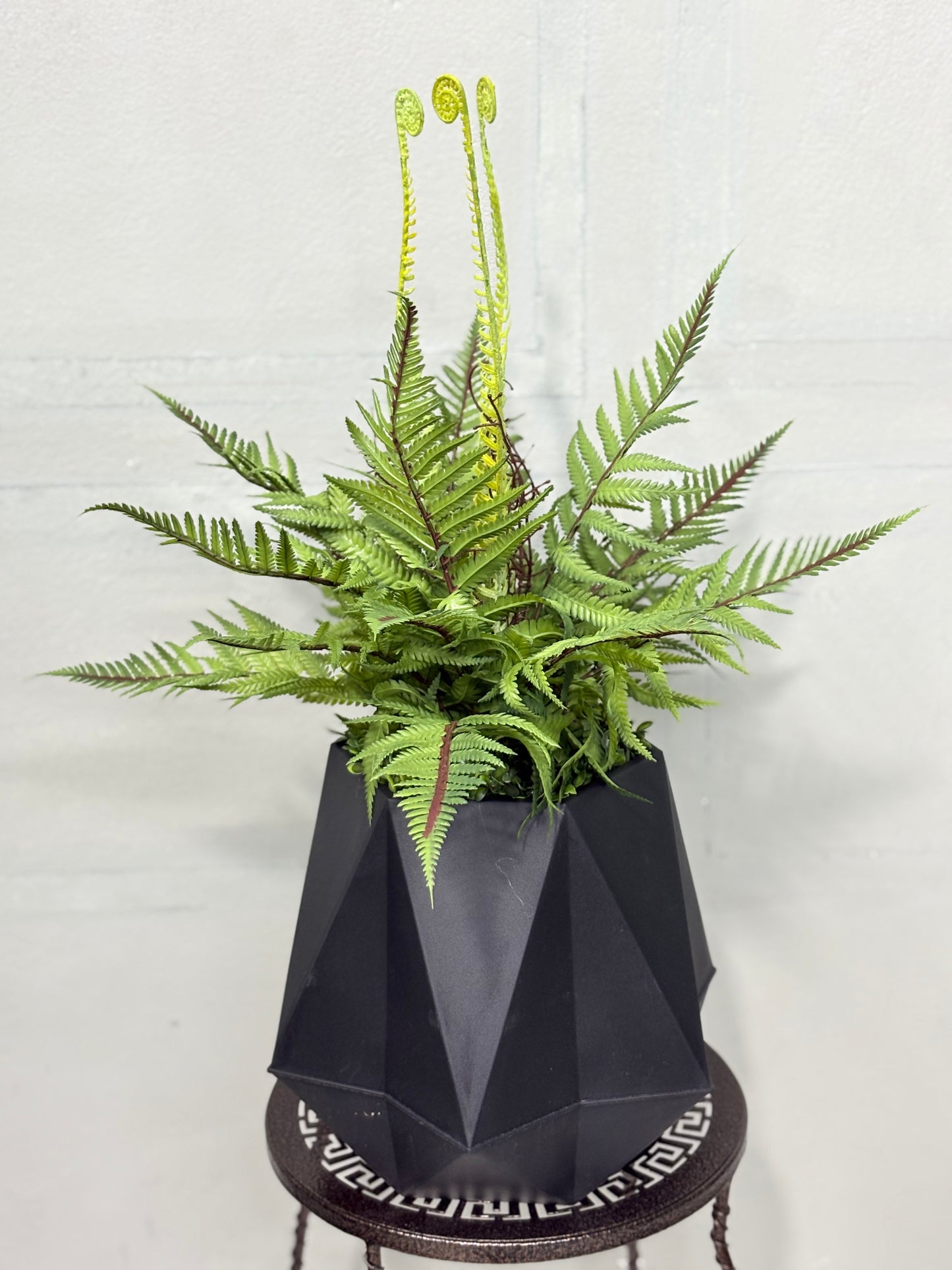 Table Fern Plant with Black Pot – Home & Office Decor