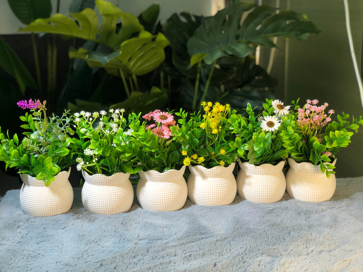 6 Pieces flower Combo. 1200 Taka. Free Delivery.