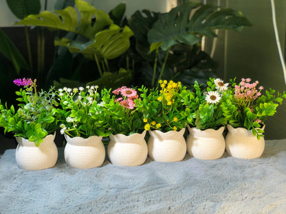 6 Pieces flower Combo. 1200 Taka. Free Delivery.