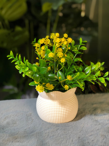 6 Pieces flower Combo. 1200 Taka. Free Delivery.