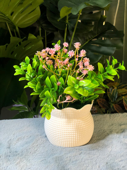 6 Pieces flower Combo. 1200 Taka. Free Delivery.