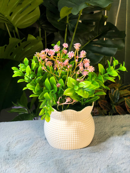 6 Pieces flower Combo. 1200 Taka. Free Delivery.