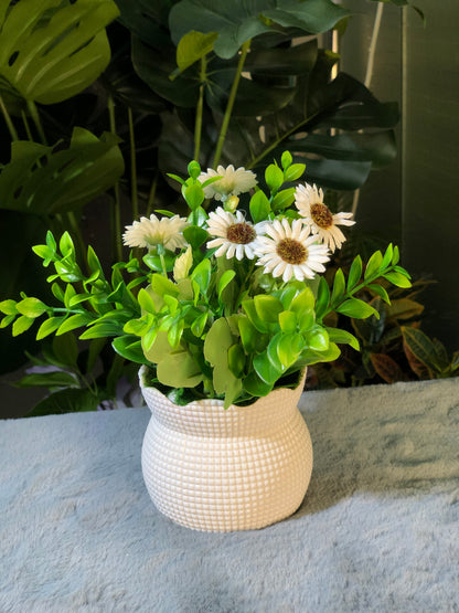 6 Pieces flower Combo. 1200 Taka. Free Delivery.