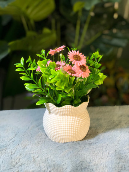 6 Pieces flower Combo. 1200 Taka. Free Delivery.