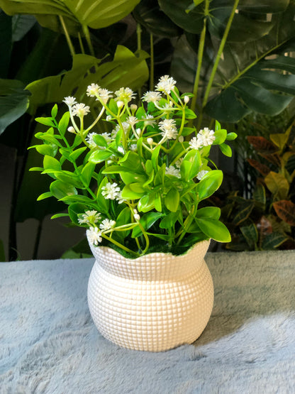 6 Pieces flower Combo. 1200 Taka. Free Delivery.