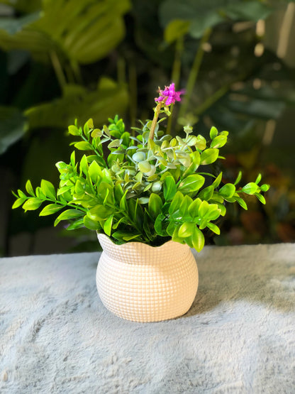 6 Pieces flower Combo. 1200 Taka. Free Delivery.