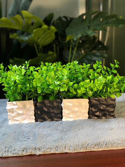 4 Artificial plants Combo – 950 Tk