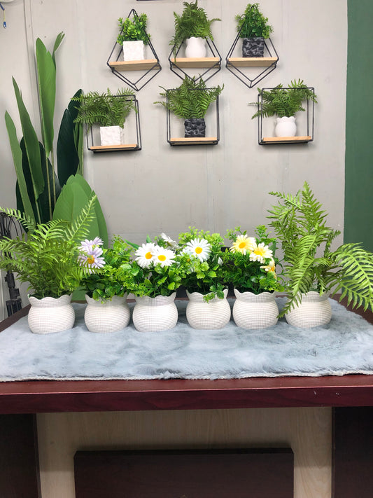 CLEARANCE: 6-in-1 Mega Bundle - 3 | Only 1200 TK & Free Shipping!