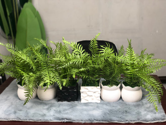 CLEARANCE: 6-in-1 Mega Bundle | Only 1200 TK & Free Shipping!