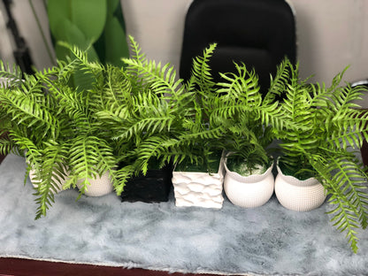 CLEARANCE: 6-in-1 Mega Bundle | Only 1200 TK & Free Shipping!