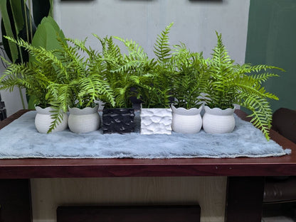 CLEARANCE: 6-in-1 Mega Bundle | Only 1200 TK & Free Shipping!