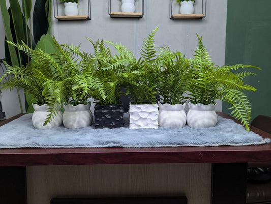 CLEARANCE: 6-in-1 Mega Bundle | Only 1200 TK & Free Shipping!