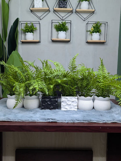 CLEARANCE: 6-in-1 Mega Bundle | Only 1200 TK & Free Shipping!