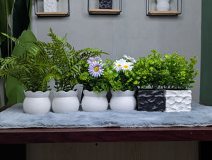 CLEARANCE: 6-in-1 Mega Bundle - 2 | Only 1200 TK & Free Shipping!