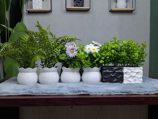 CLEARANCE: 6-in-1 Mega Bundle - 2 | Only 1200 TK & Free Shipping!