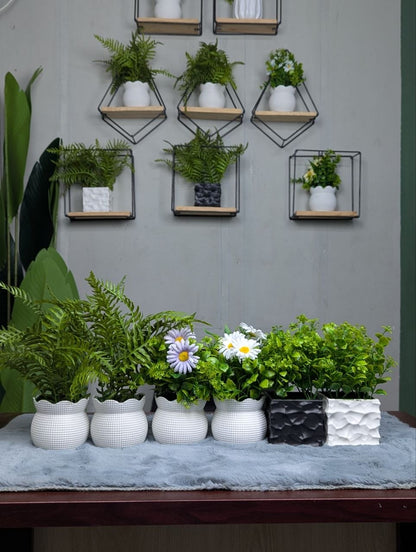 CLEARANCE: 6-in-1 Mega Bundle - 2 | Only 1200 TK & Free Shipping!