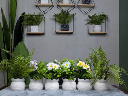 CLEARANCE: 6-in-1 Mega Bundle - 3 | Only 1200 TK & Free Shipping!