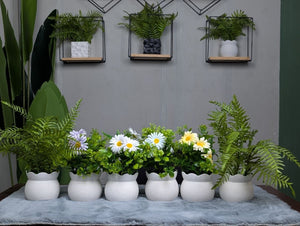 CLEARANCE: 6-in-1 Mega Bundle - 3 | Only 1200 TK & Free Shipping!