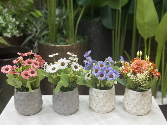 4 Artificial Plants Combo – 1100 TK