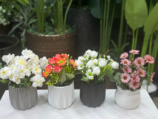 4 Artificial Plants Combo – 1100 TK