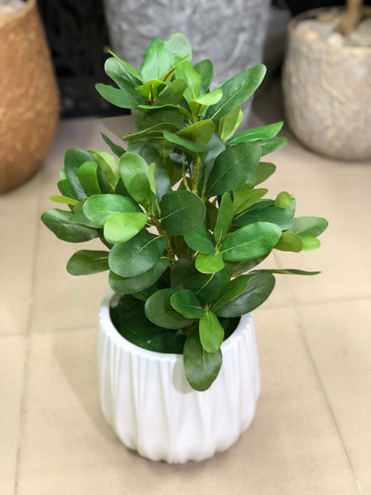 Artificial Plants Combo Set | Home & Office Decor – Ahmad Tree House