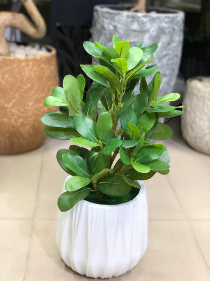 Artificial Plants Combo Set | Home & Office Decor – Ahmad Tree House