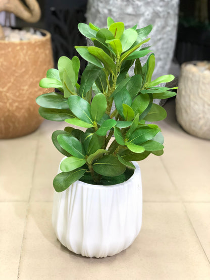 Artificial Plants Combo Set | Home & Office Decor – Ahmad Tree House