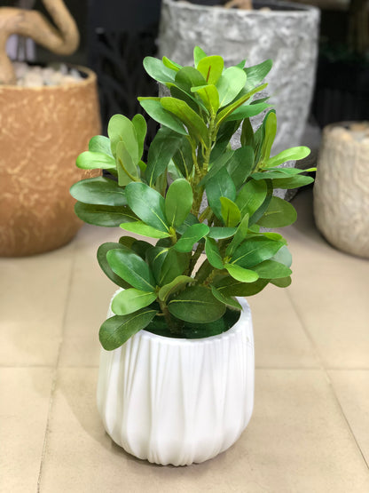 Artificial Plants Combo Set | Home & Office Decor – Ahmad Tree House