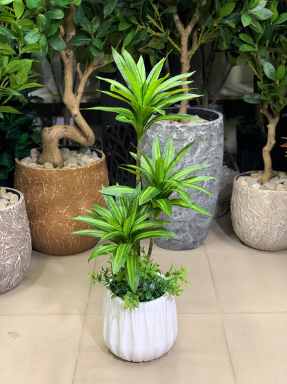 Small Artificial Plant | Desk & Shelf Decor – Ahmad Tree House