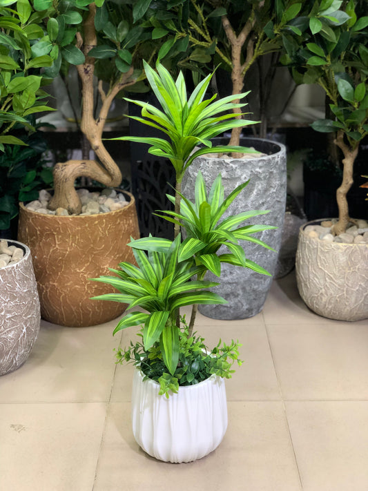 artificial plants