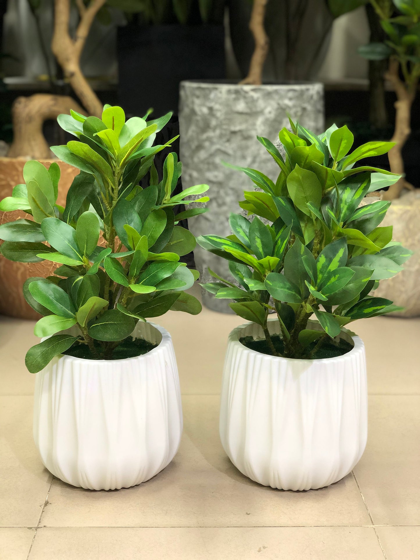 Artificial Plants Combo Set | Home & Office Decor – Ahmad Tree House