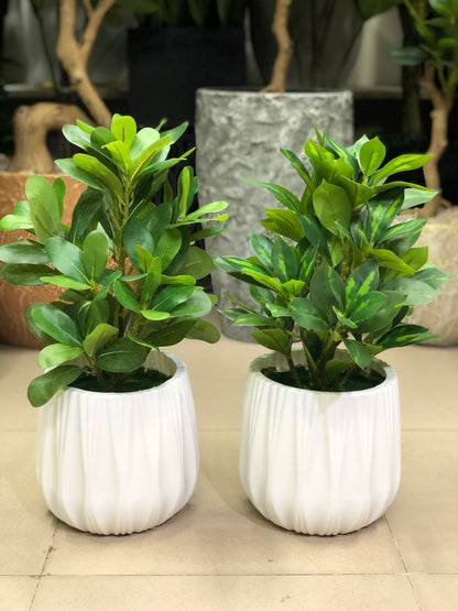 Artificial Plants Combo Set | Home & Office Decor – Ahmad Tree House