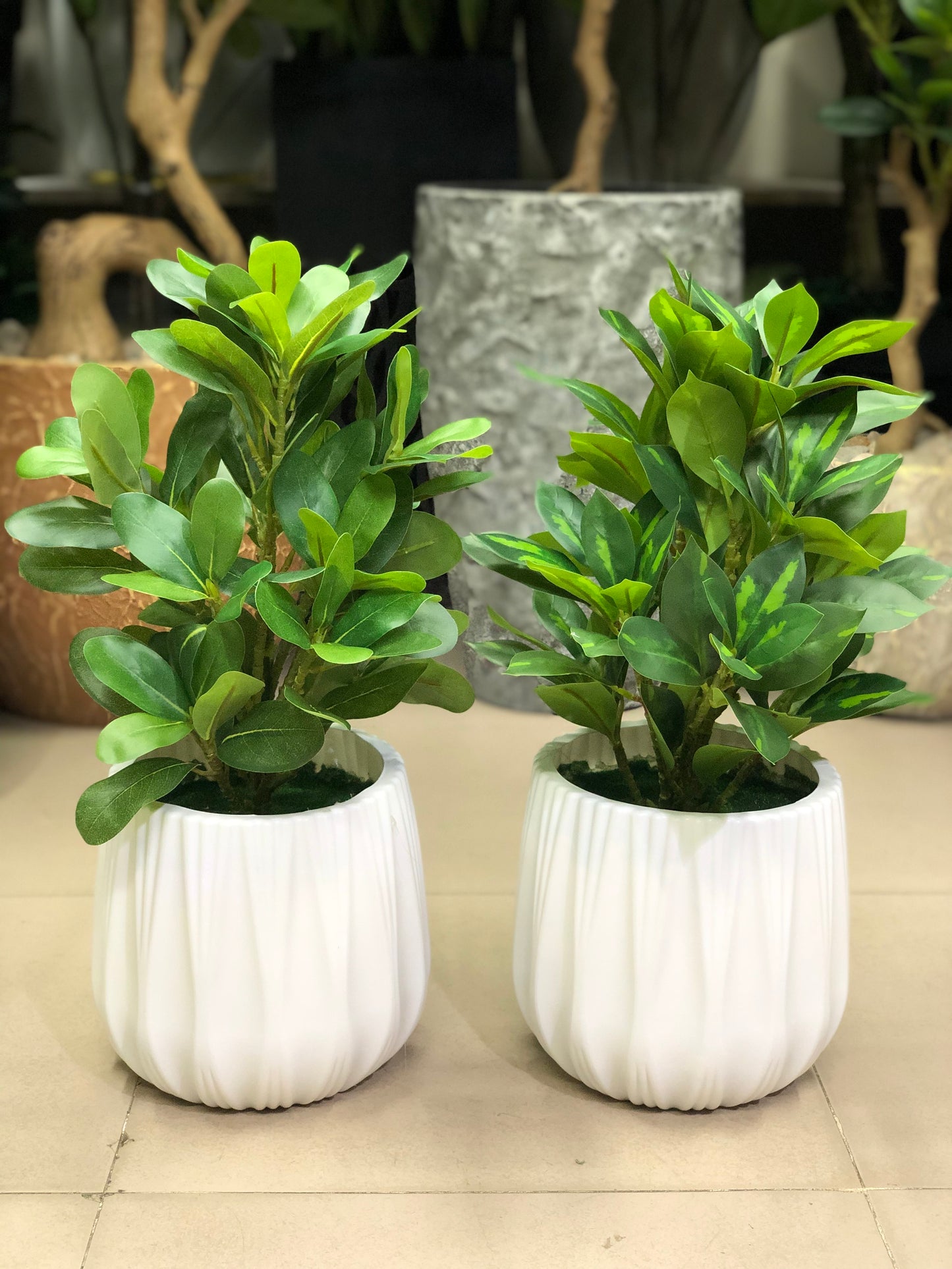 Artificial Plants Combo Set | Home & Office Decor – Ahmad Tree House