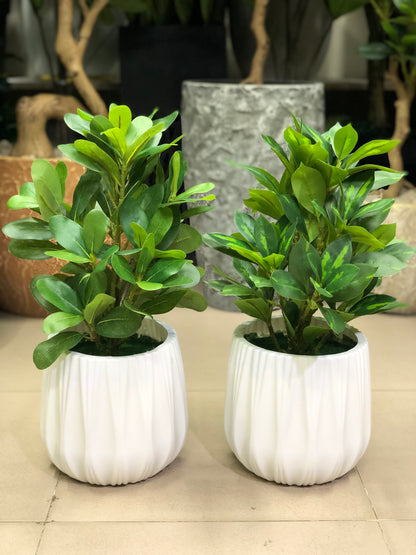 Artificial Plants Combo Set | Home & Office Decor – Ahmad Tree House