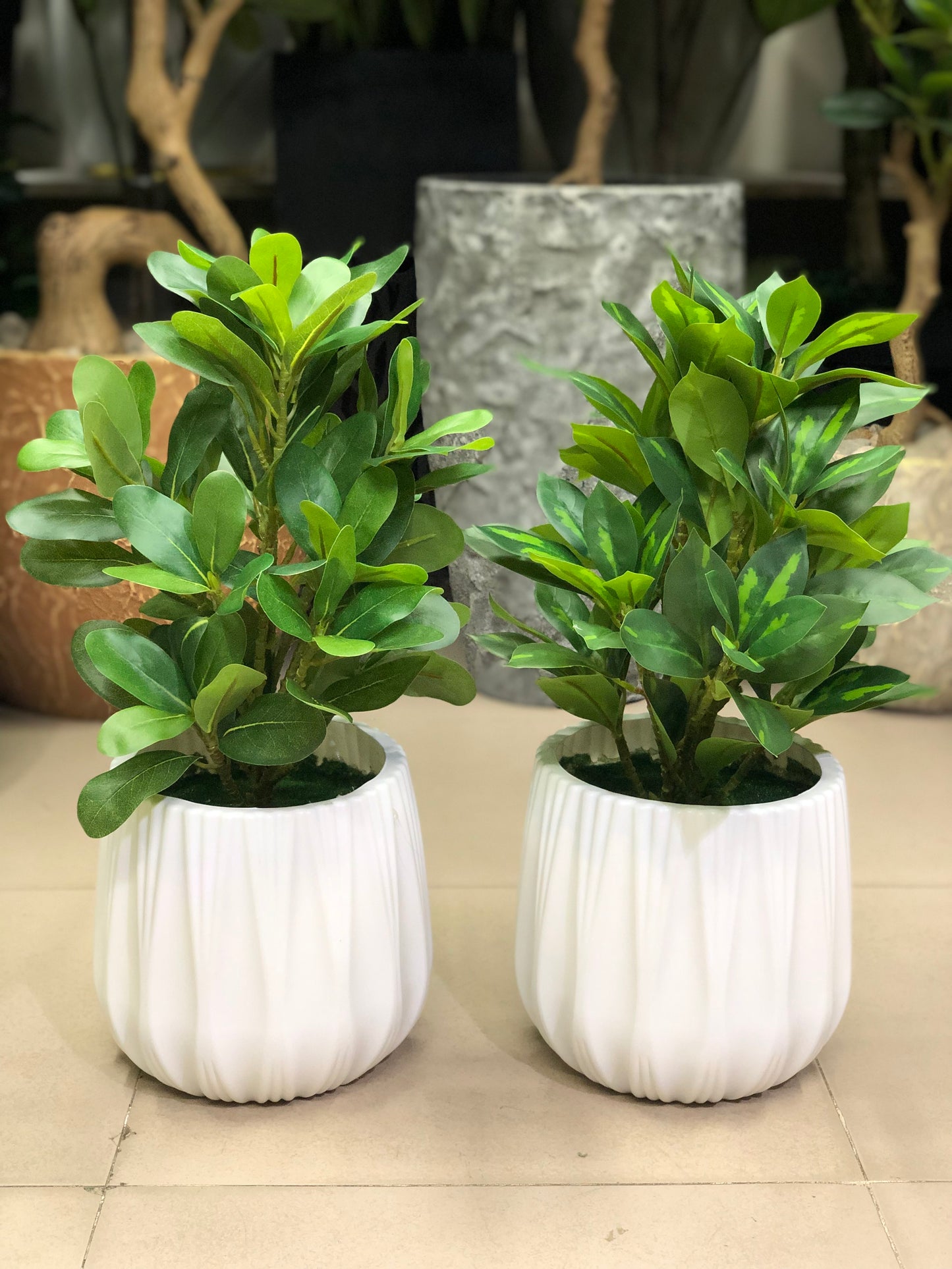 Artificial Plants Combo Set | Home & Office Decor – Ahmad Tree House