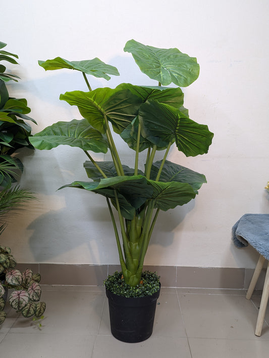 Artificial Alocasia Elephant Ear Plant with black matte tub