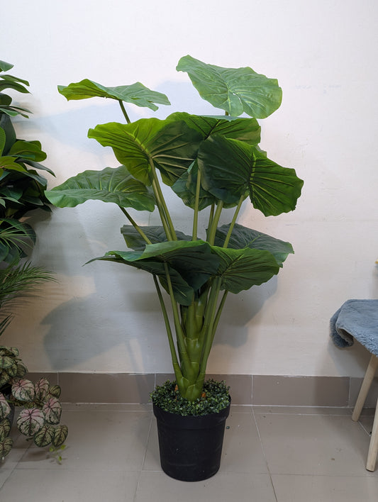 Artificial Alocasia Elephant Ear Plant with black matte tub