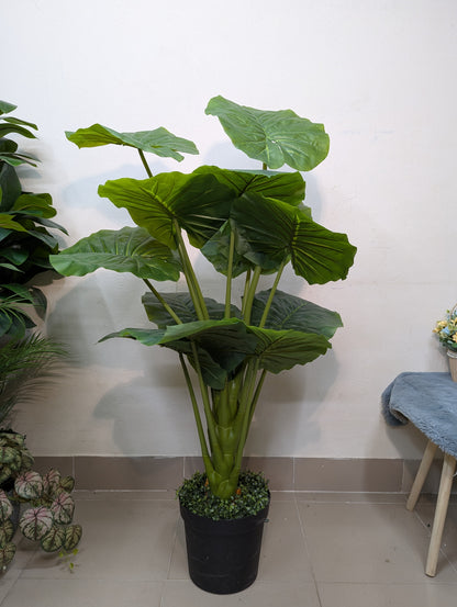 Artificial Alocasia Elephant Ear Plant with black matte tub