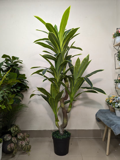 Artificial Dracaena Corn Plant with matte tub (4 head)